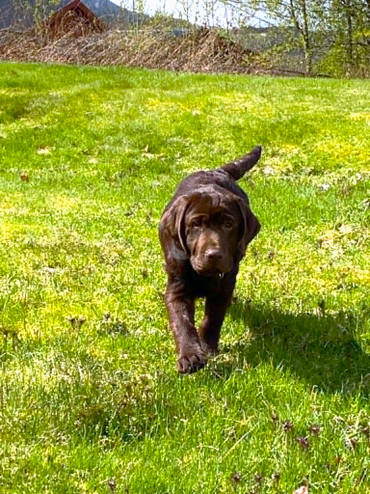 Bilbo 